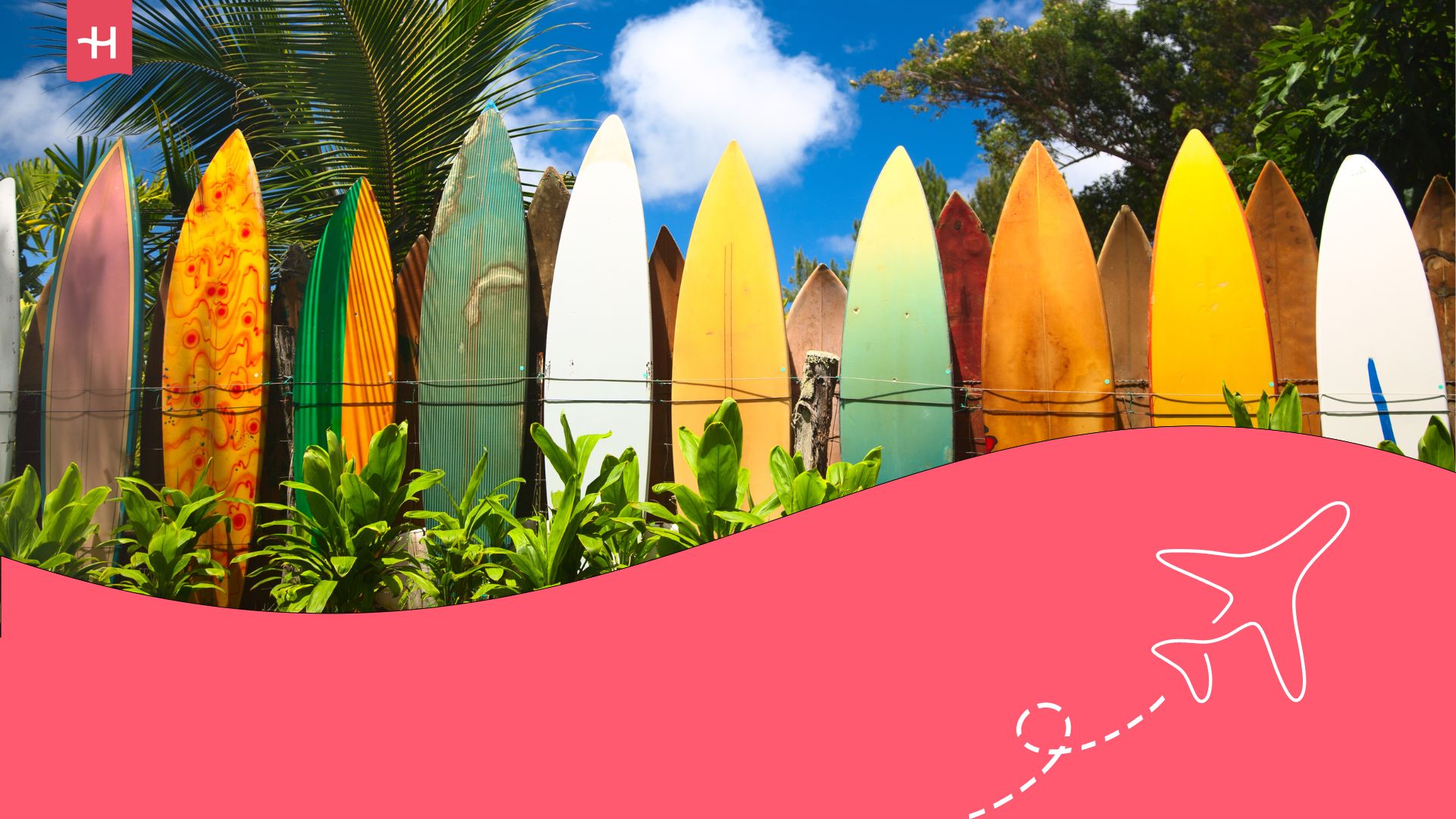 Image of surf boards lined up in a row among greenery. Holafly logo on top left and illustration of aeroplane on bottom right.