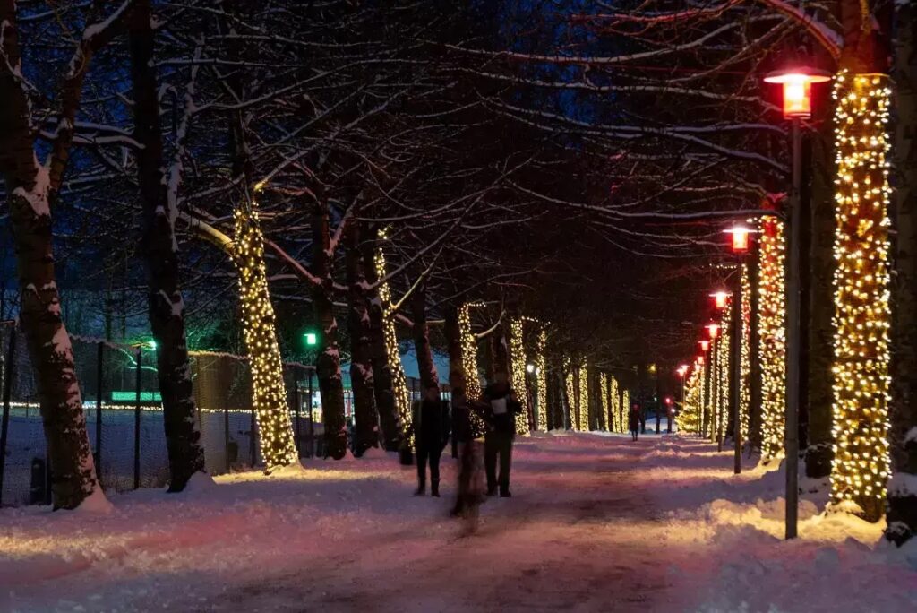 A snowy, tree-lined path illuminated by festive lights, capturing Reykjavik's enchanting winter charm.