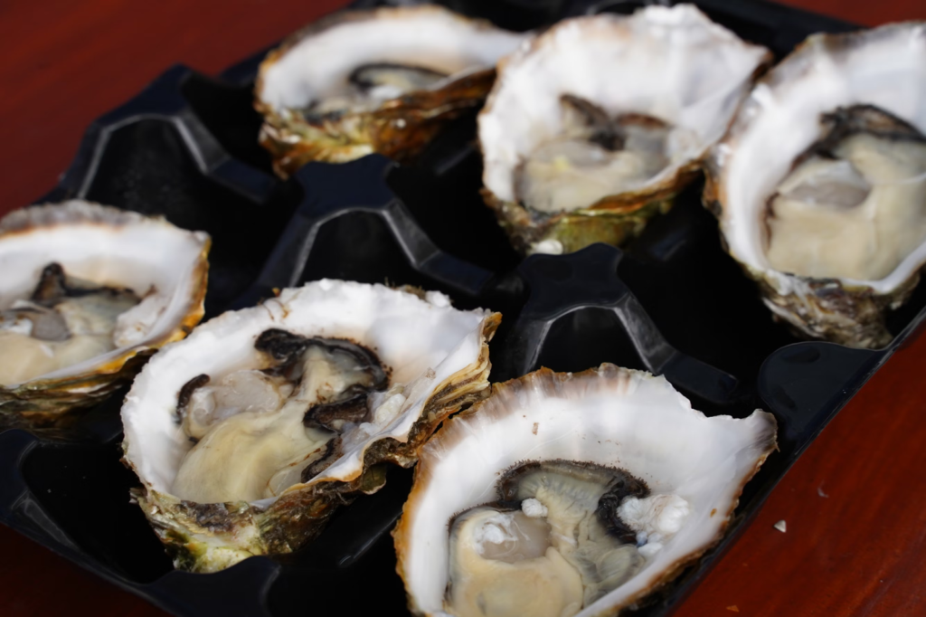 Fresh oysters on a black tray at a restaurant in Tasmania.