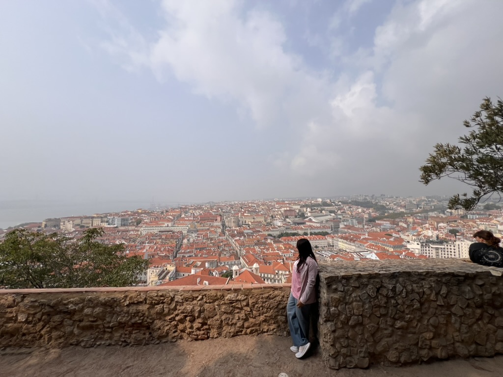 Ariel view of Lisbon from the São Jorge Castle