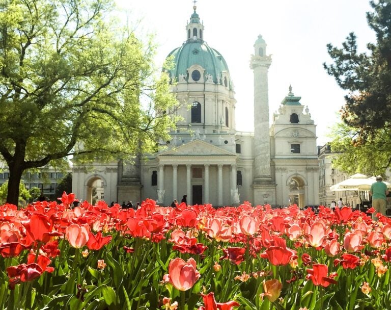 The Karlskirche in Vienna photographed from a low angle, with blossomed red tulips in the foreground.