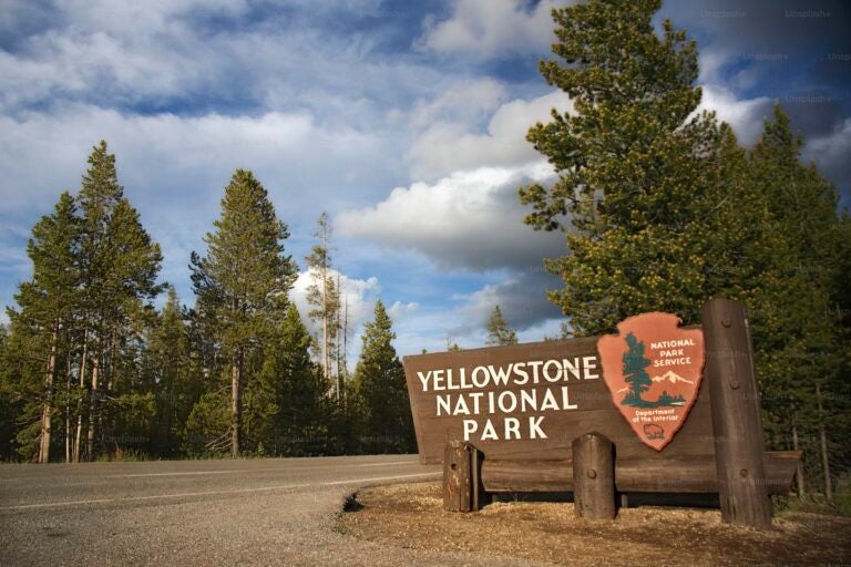 A wooden sign marking the entrance to Yellowstone National Park beside a road, surrounded by an evergreen forest.