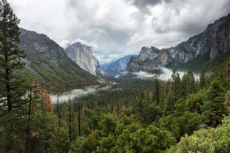 Panoramic view of Yosemite Valley with El Capitan on the left.