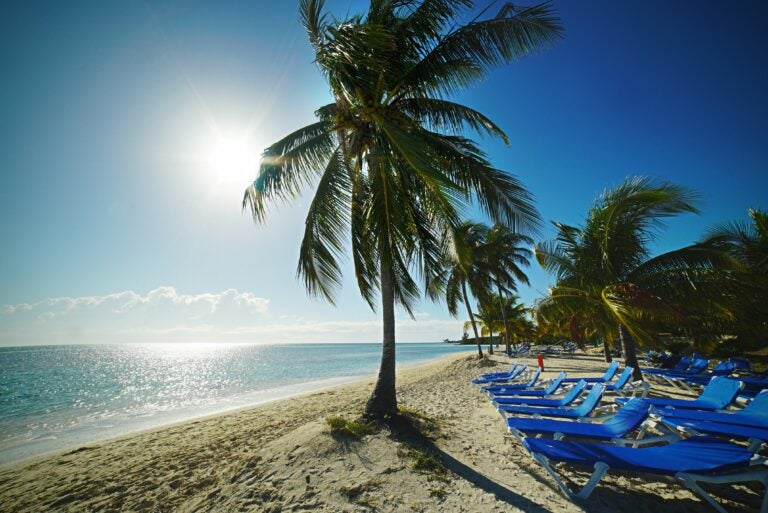 Blue sunbeds aligned on a white sand beach in the Bahamas, with serene blue waters and tall palm trees.

