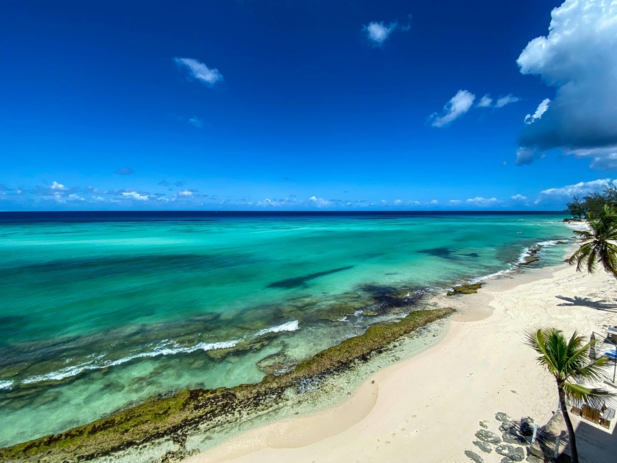 Teal waters, blue skies, and palm trees in Bardbados 