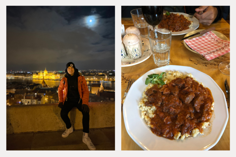 Left: One of the many great views in Budapest. Right: A typical Hungarian dish of meat and dumplings that I devoured in minutes — with zero shame.