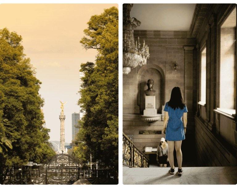 Detailed guide for digital nomads in cdmx