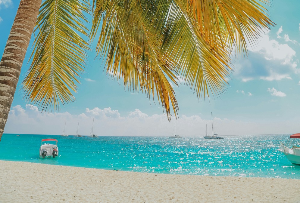 Palm trees, white sands, and sparkling blue water in the Dominican Republic 