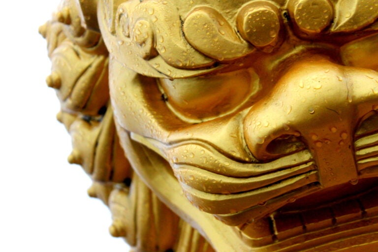 A close-up of a fierce golden dragon head covered in dew drops against a white sky.
