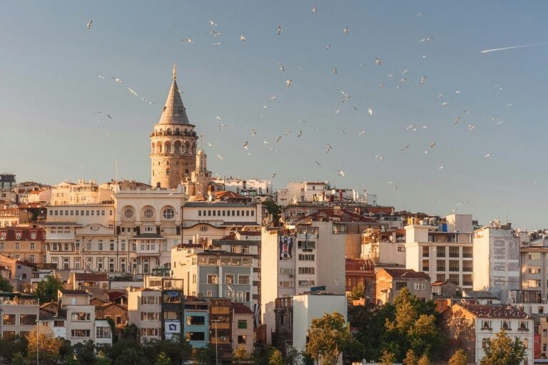 A photo of buildings in Istanbul with birds flying in the air and a plane in the sky on a sunny day.