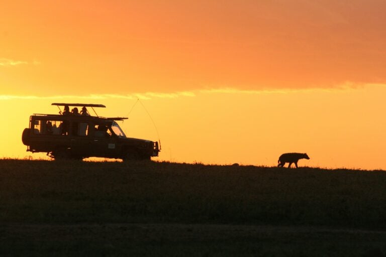 A sunset sky with the silhouette of a safari truck and an animal in Kenya.
