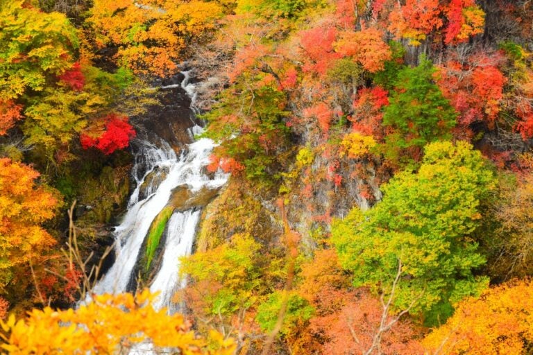 The bright colors of fall surround a prisitine waterfall in Kirifuri, Japan