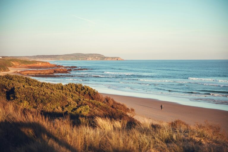 Wind-swept grass, golden sands, and blue waves lap on a beach in Phillip Island