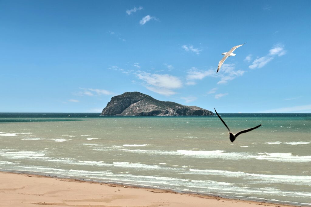 saidia beach in morocco