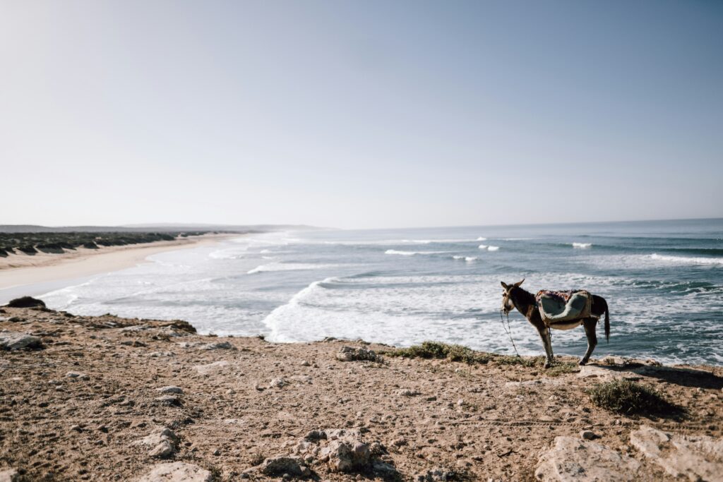 sidi kaouki beach in essasouria 