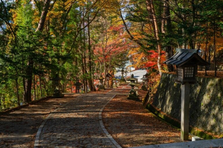 Cobble-stoned paths are scattered with auburn leaves and lined with fall foliage