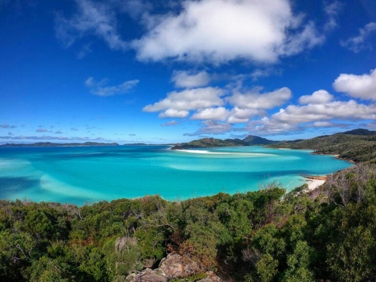 Trees and foliage surround teal waters in Whitsunday Islands