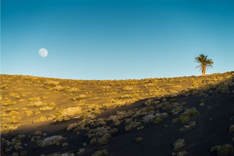 Lanzarote island landscape with blue sky and moon backdrop.