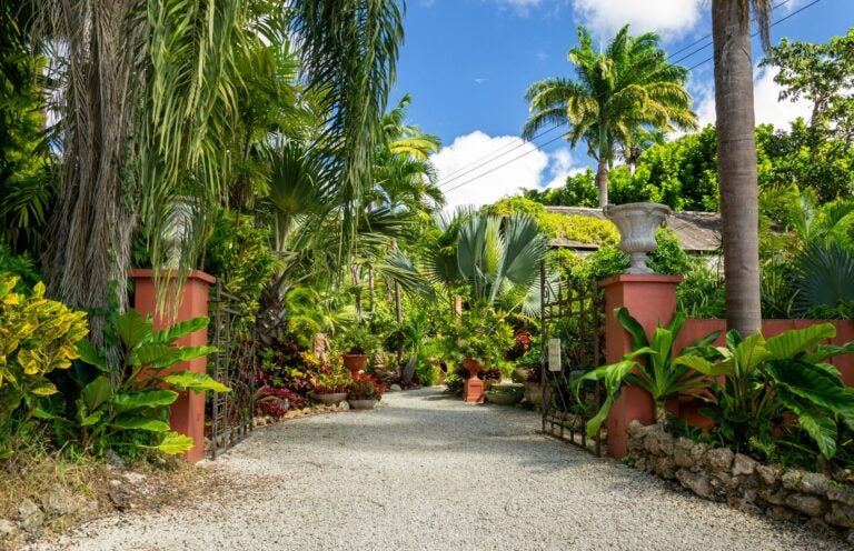 Hunte's Gardens