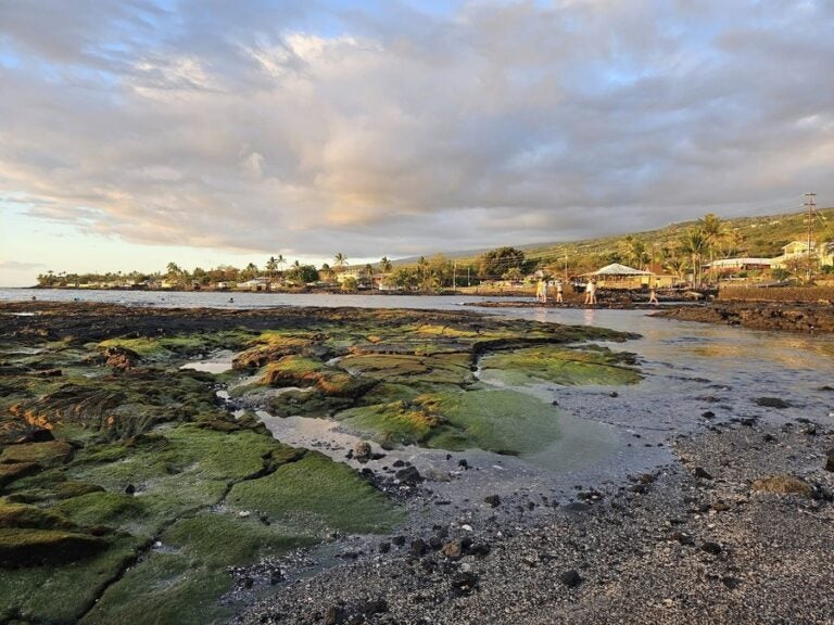 Kailua-kona's shallow coastline - perfect for beginner swimmers