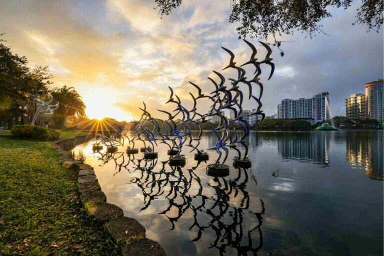 Waterfron view from the Lake Eola Park