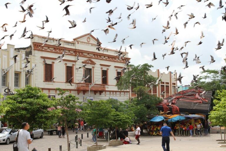 Birds fly above a square on an overcast day in in Barranquilla, Colombia.