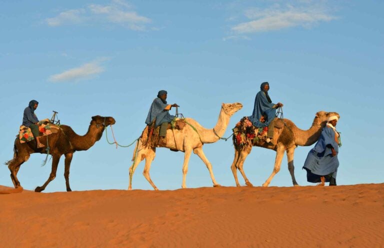 Camel caravan in Morocco