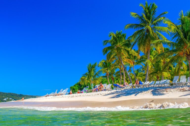 The beautiful beach of Cayo Levantado with palm trees and people sunbathing.