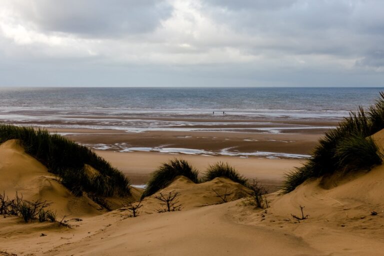the golden dunes of Crosby Beach and wind-swept grass 