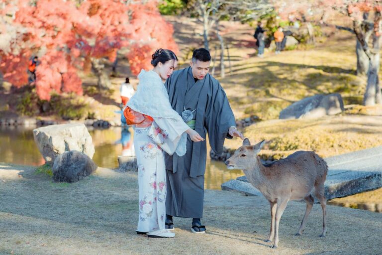 a couple dressed in traditional japanese clothing feed a deer in nara park 