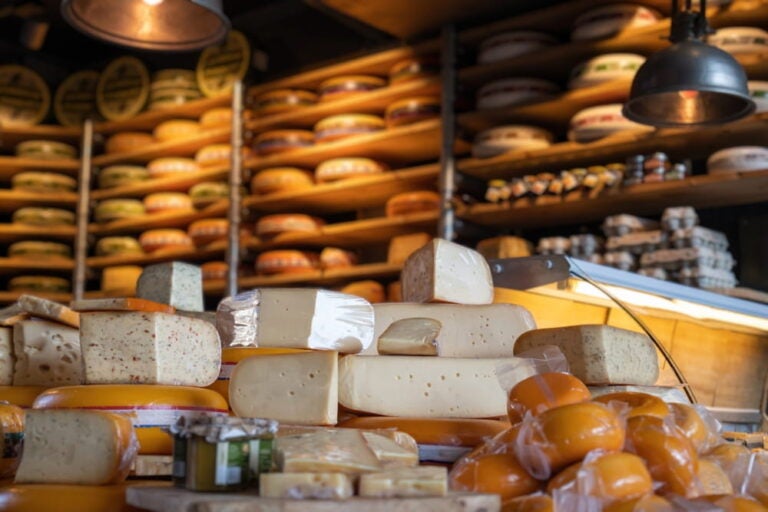 Dutch cheese
