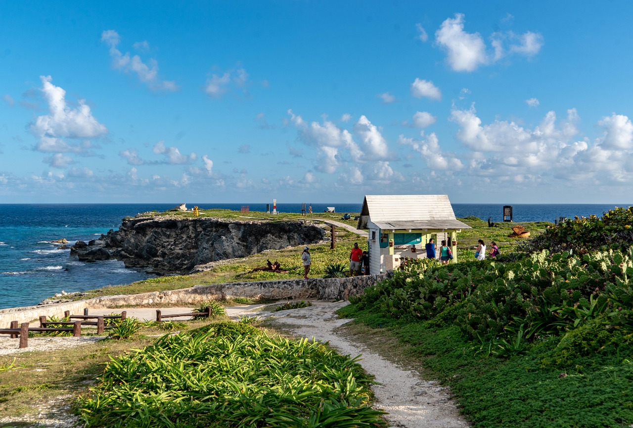 The greenery on Isla Mujeres with a view of the cliffs and ocean.