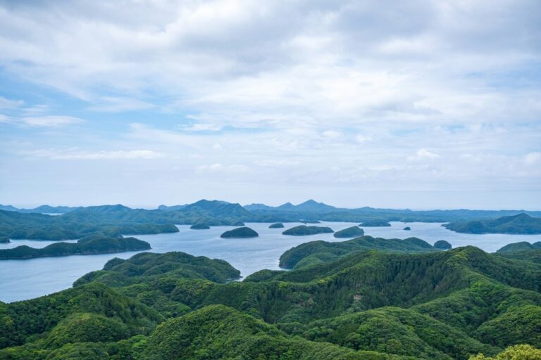 an aerial view of the lush green landscapes of Japan's islands 