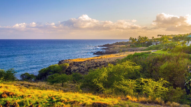 Lanai's scenic coastline view with greenery and blue waters