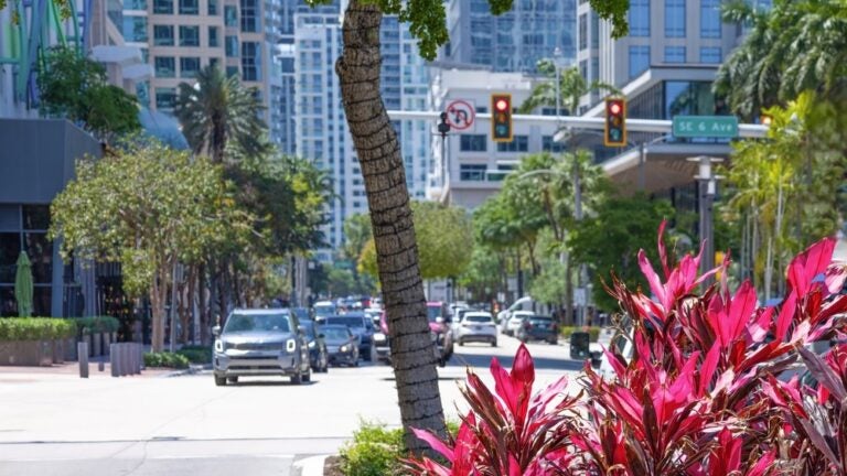 las olas boulevard