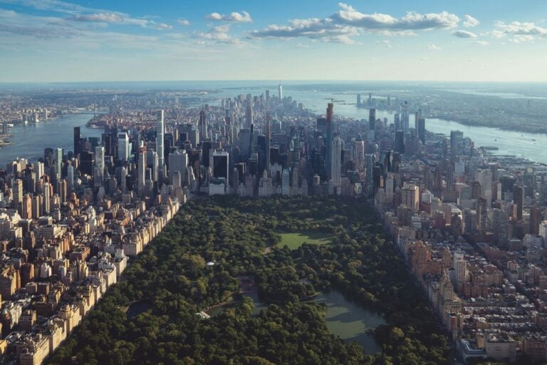 an aerial view of the lush central park in the middle of the concrete jungle of Manhattan
