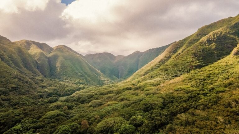 The lush green landscape of Molokai