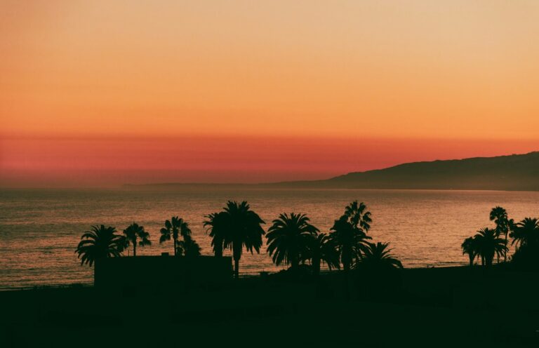 Santa Monica Bay with palm trees against an orange-hued sunset