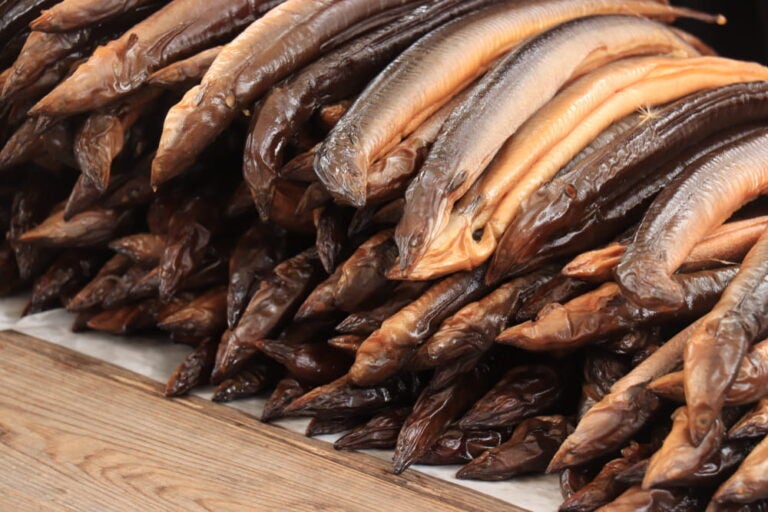 Smoked eel