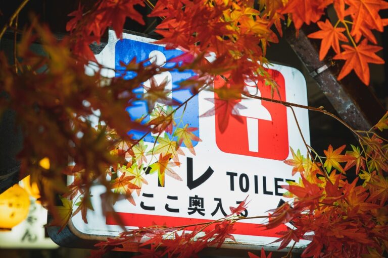 A red and blue toilet sign in Japan 