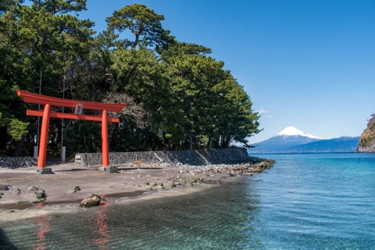 Torii gates in the Izu Peninsula with the Mt. Fuji on the background
