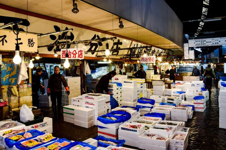 fish and other seafood in crates at Tsukiji market - largest fish market 