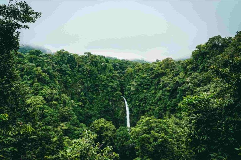 A waterfall in the Costa Rican rainforest