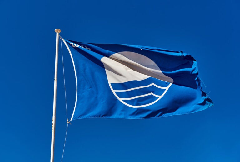 A blue flag with a white and blue circle in the middle
