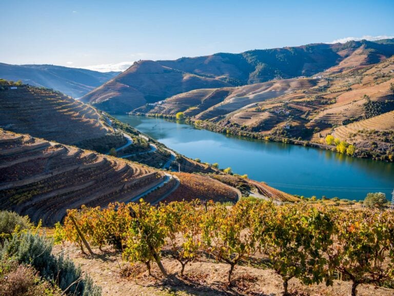 douro valley landscape with the douro river and vineyards