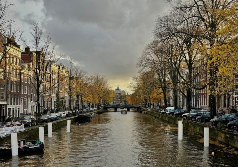 a view of one of amsterdam's iconic canals in the evening time, lined with yellow-leaved trees on either side 