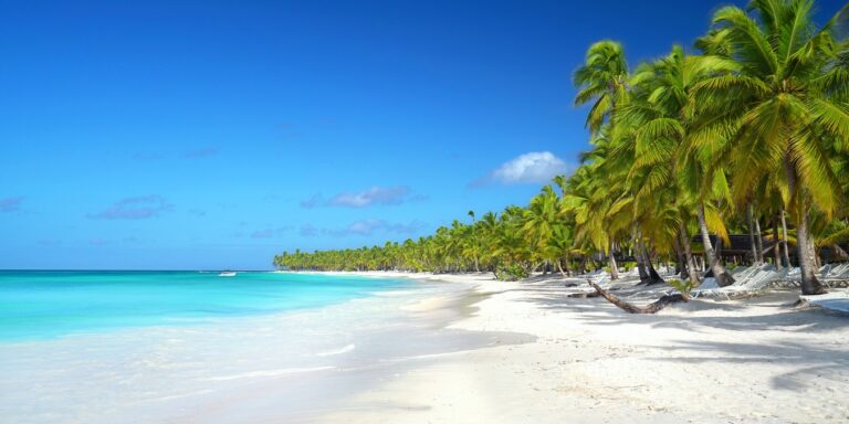 white sands lined with green palm trees and blue waves lapping on the shore