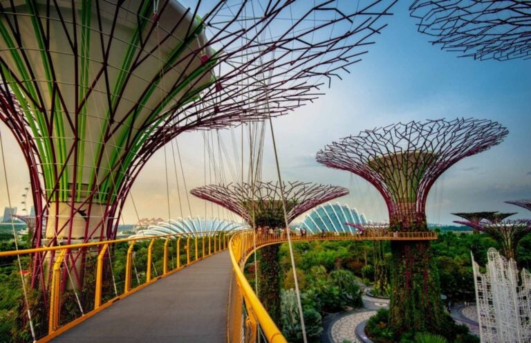 large, futuristic-looking tree-like structures surrounding a bridge for tourists to observe the garden from above