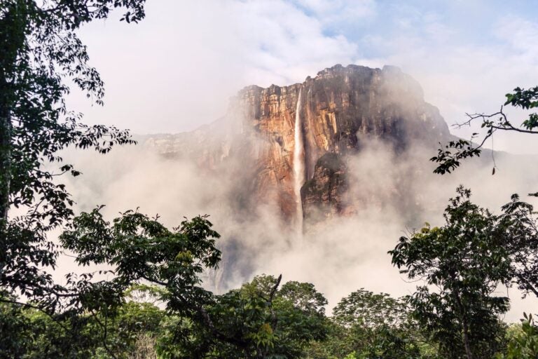 Tree-framed front view of Angel Falls, Venezuela.