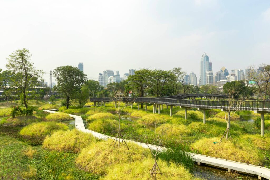 Benjakitti Park during a sunny day in Bangkok
